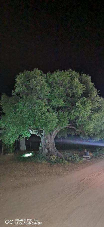 Azienda Multifunzionale S'Ozastro Marinella  Exterior foto